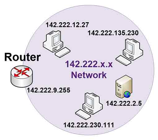 Network 142.222.x.x